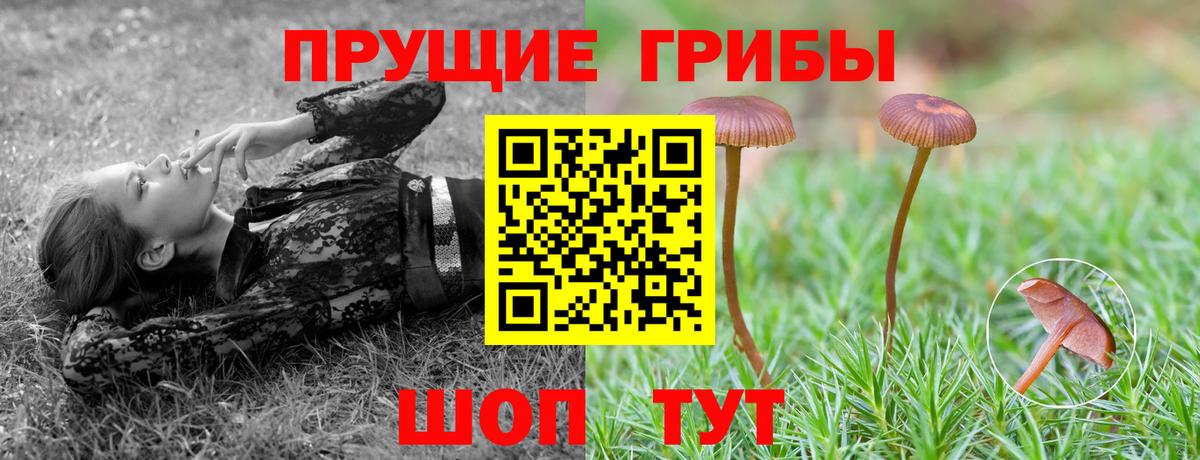 Псилоцибиновые грибы MAGIC MUSHROOMS Аксай