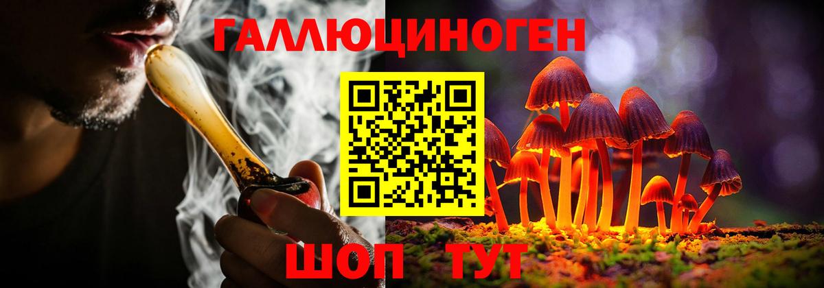 Аксай  наркота  Вход с VPN  Псилоцибиновые грибы прущие грибы  Псилоцибиновые грибы MAGIC MUSHROOMS 